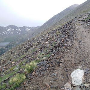 Quandary Peak (14).jpg